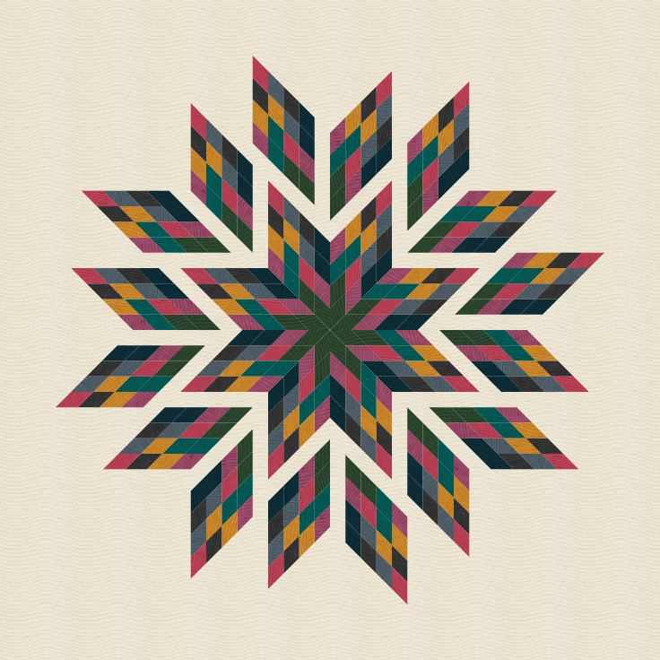 Cosmic Feathers Moody Quilt Kit Taralee Quiltery Fabric Co